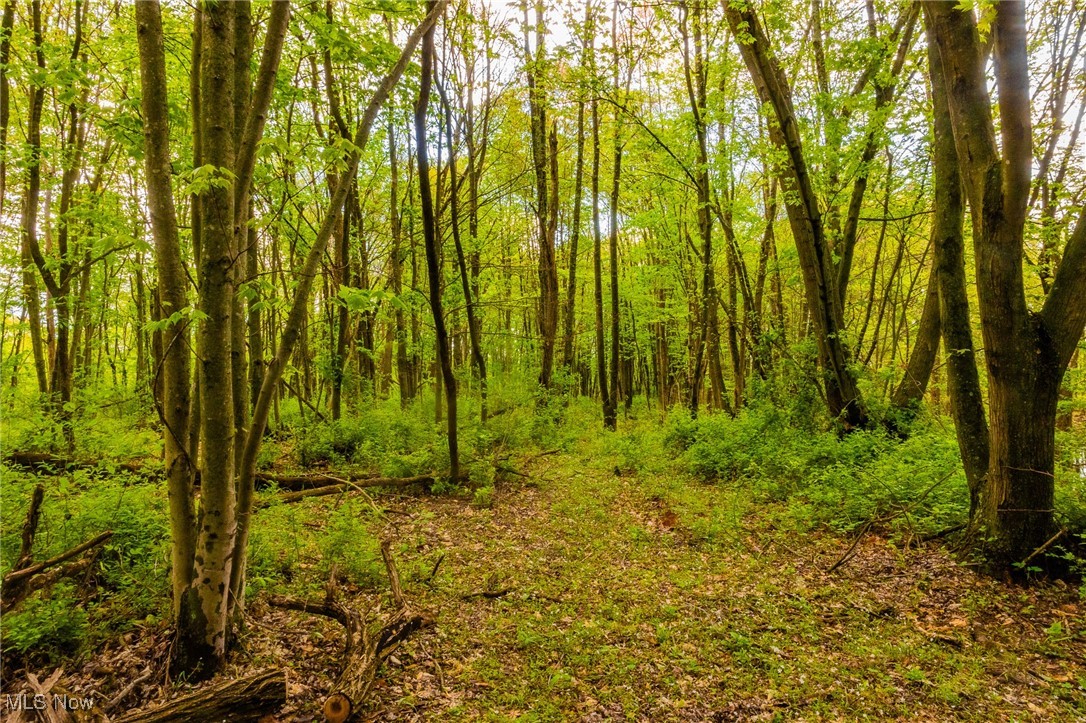 23350 Township Rd 399, Coshocton, Ohio image 30