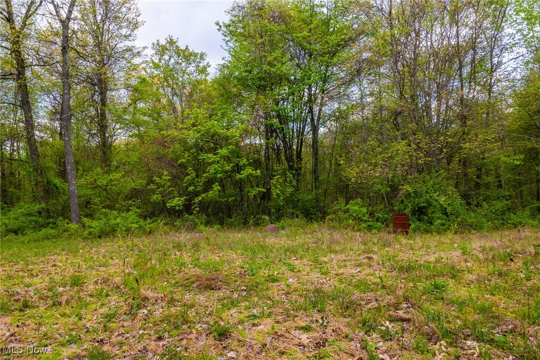 23350 Township Rd 399, Coshocton, Ohio image 21