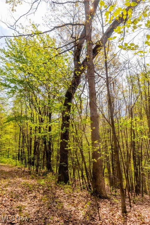 23350 Township Rd 399, Coshocton, Ohio image 39