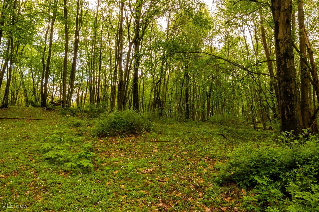 23350 Township Rd 399, Coshocton, Ohio image 27