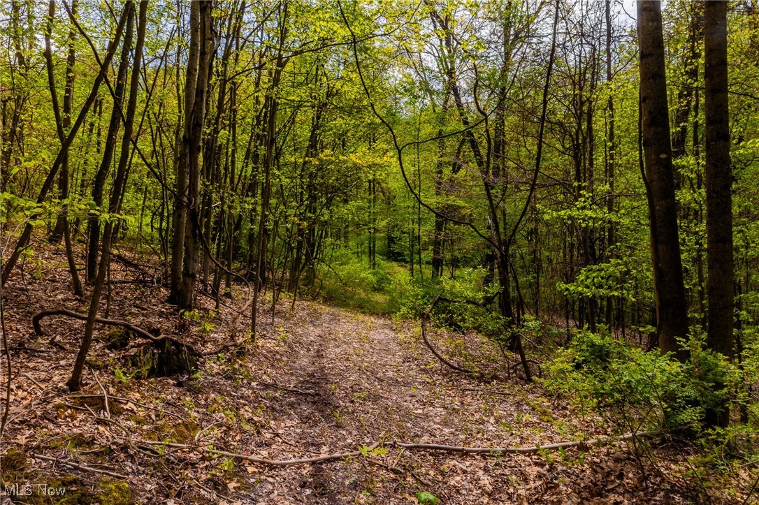 23350 Township Rd 399, Coshocton, Ohio image 41