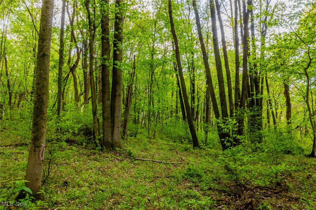 23350 Township Rd 399, Coshocton, Ohio image 34