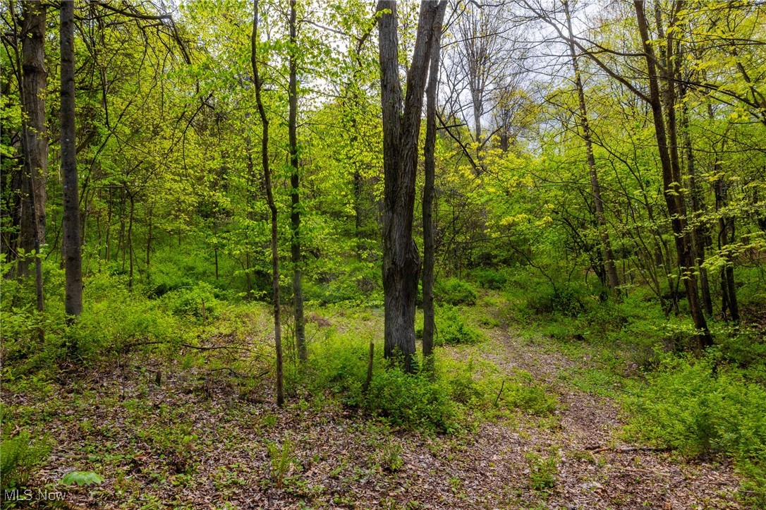 23350 Township Rd 399, Coshocton, Ohio image 43