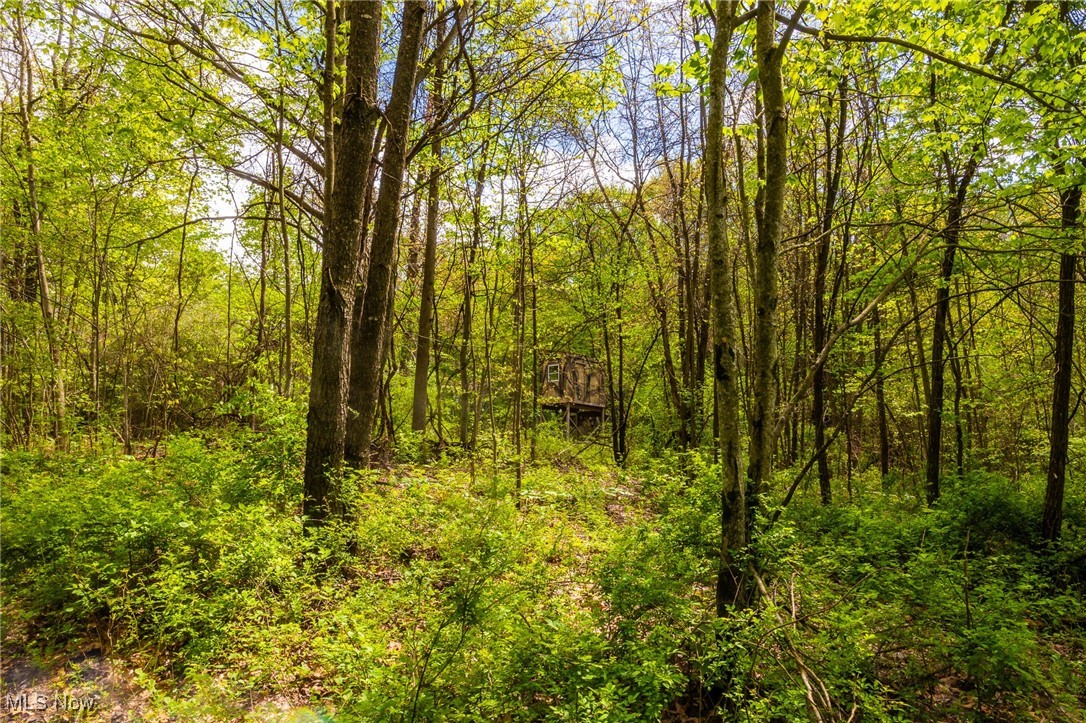 23350 Township Rd 399, Coshocton, Ohio image 16