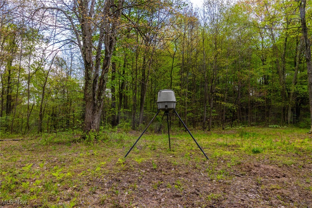 23350 Township Rd 399, Coshocton, Ohio image 22