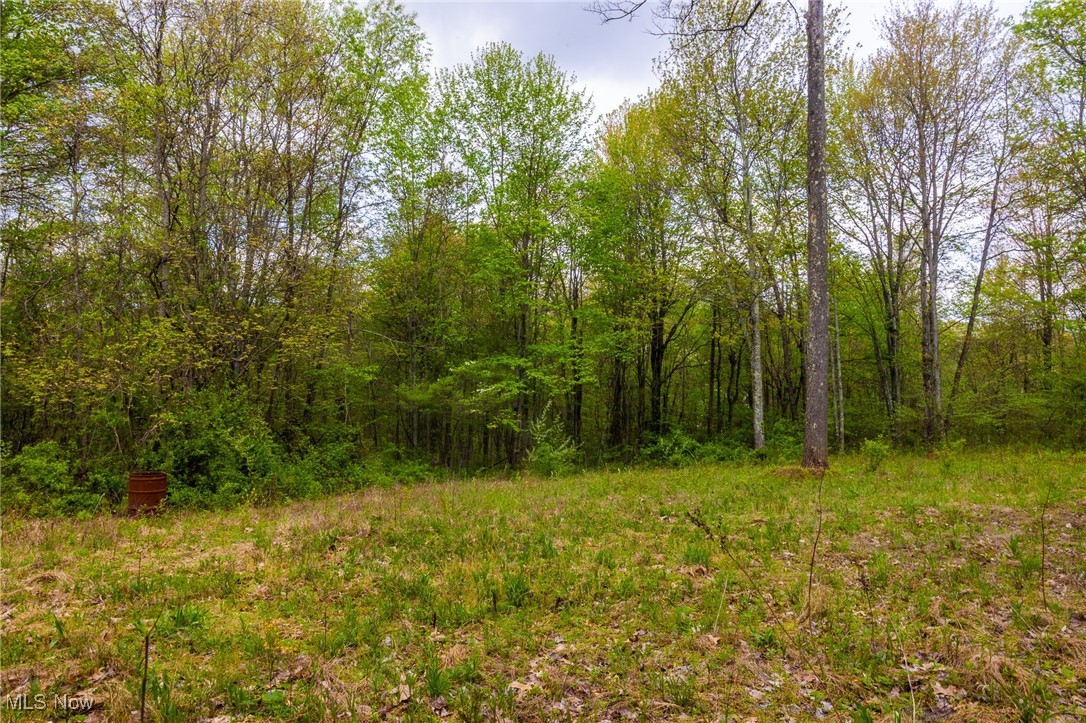 23350 Township Rd 399, Coshocton, Ohio image 20