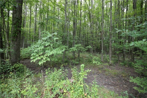 Tiny photo for 740 Footville Richmond Road E, Jefferson, OH 44047 (MLS # 5240844)