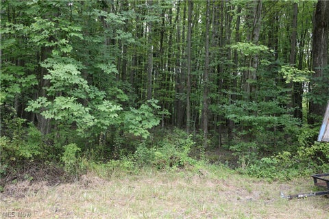Tiny photo for 740 Footville Richmond Road E, Jefferson, OH 44047 (MLS # 5240844)