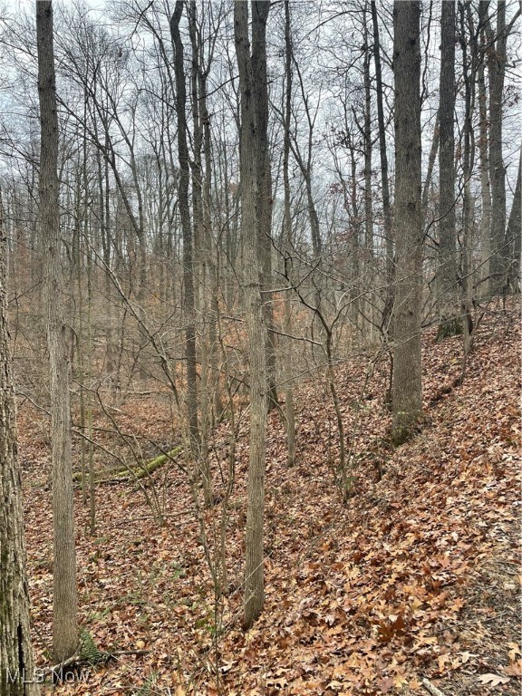 United States Military Distric - Land