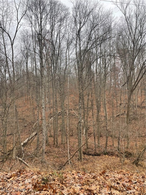 United States Military Distric - Land