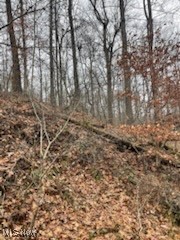 United States Military Distric - Land