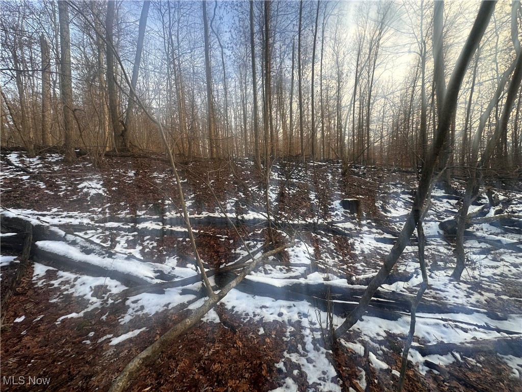 United States Military Distric - Land