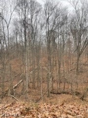 United States Military Distric - Land