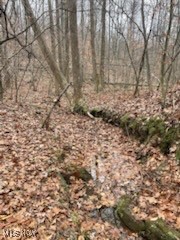 United States Military Distric - Land