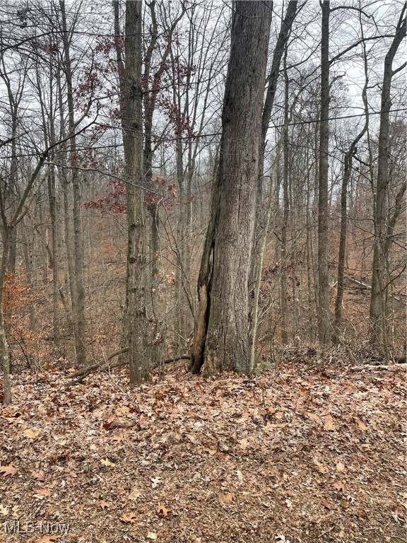 United States Military Distric - Land