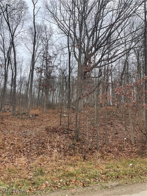 United States Military Distric - Land