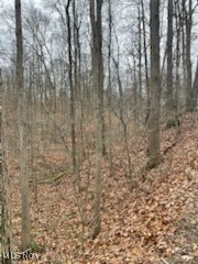 United States Military Distric - Land