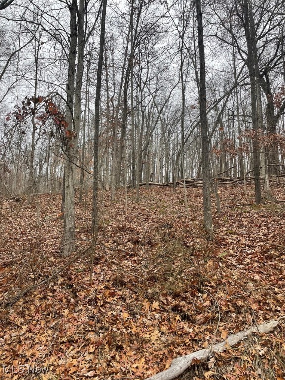 United States Military Distric - Land