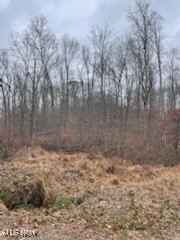 United States Military Distric - Land