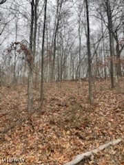 United States Military Distric - Land