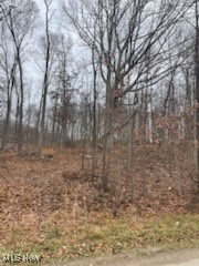 United States Military Distric - Land