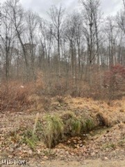 United States Military Distric - Land