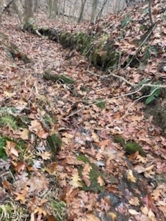 United States Military Distric - Land