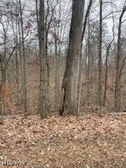 United States Military Distric - Land