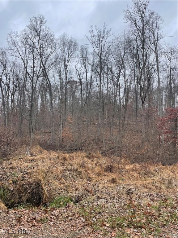 United States Military Distric - Land