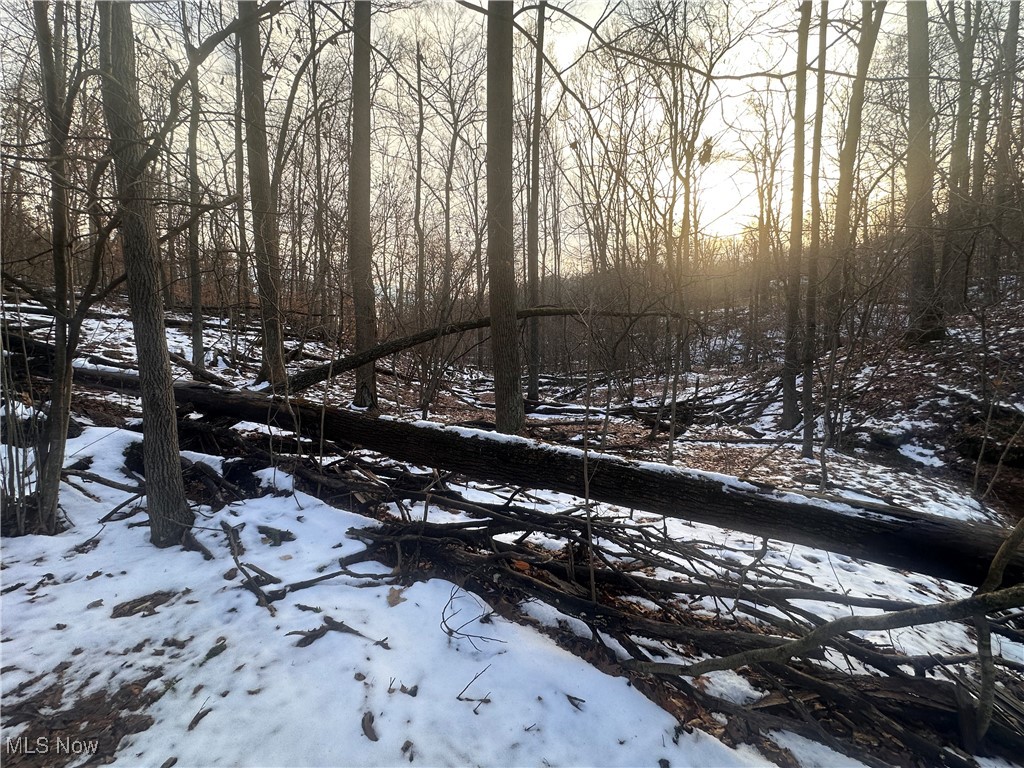 United States Military Distric - Land