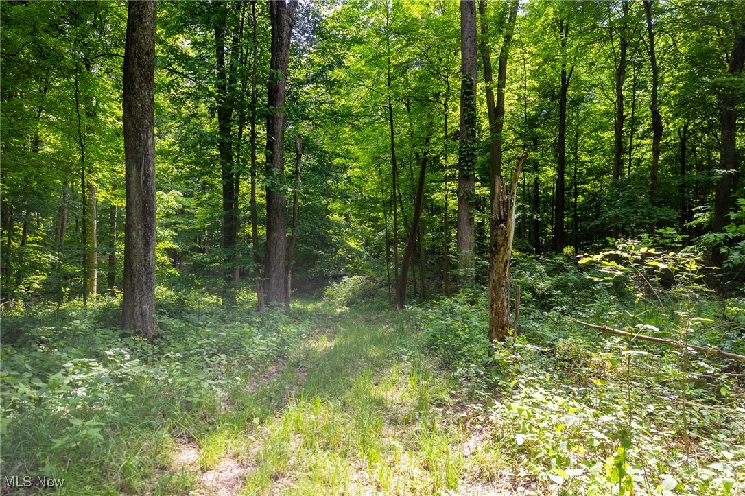 2270 Oh-511, Perrysville, Ohio image 24