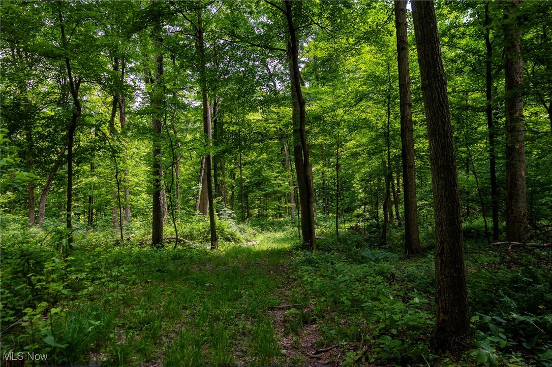 2270 Oh-511, Perrysville, Ohio image 23