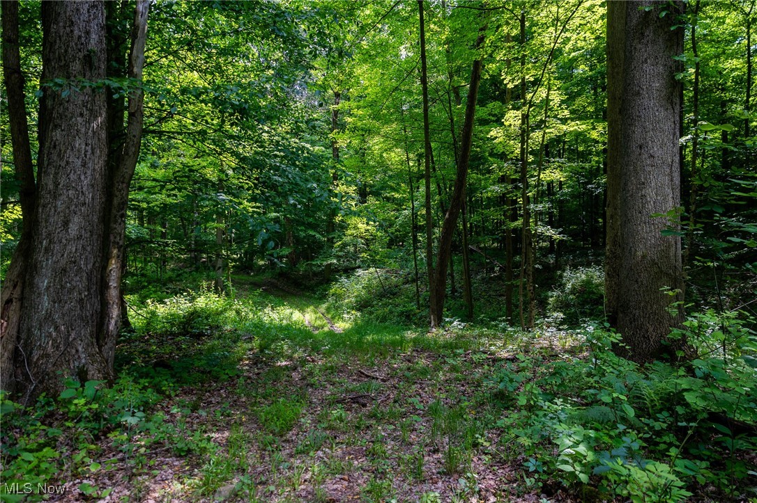 2270 Oh-511, Perrysville, Ohio image 25