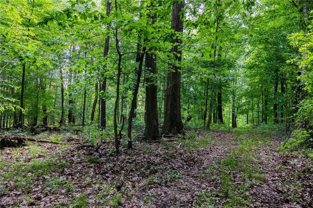 2270 Oh-511, Perrysville, Ohio image 21