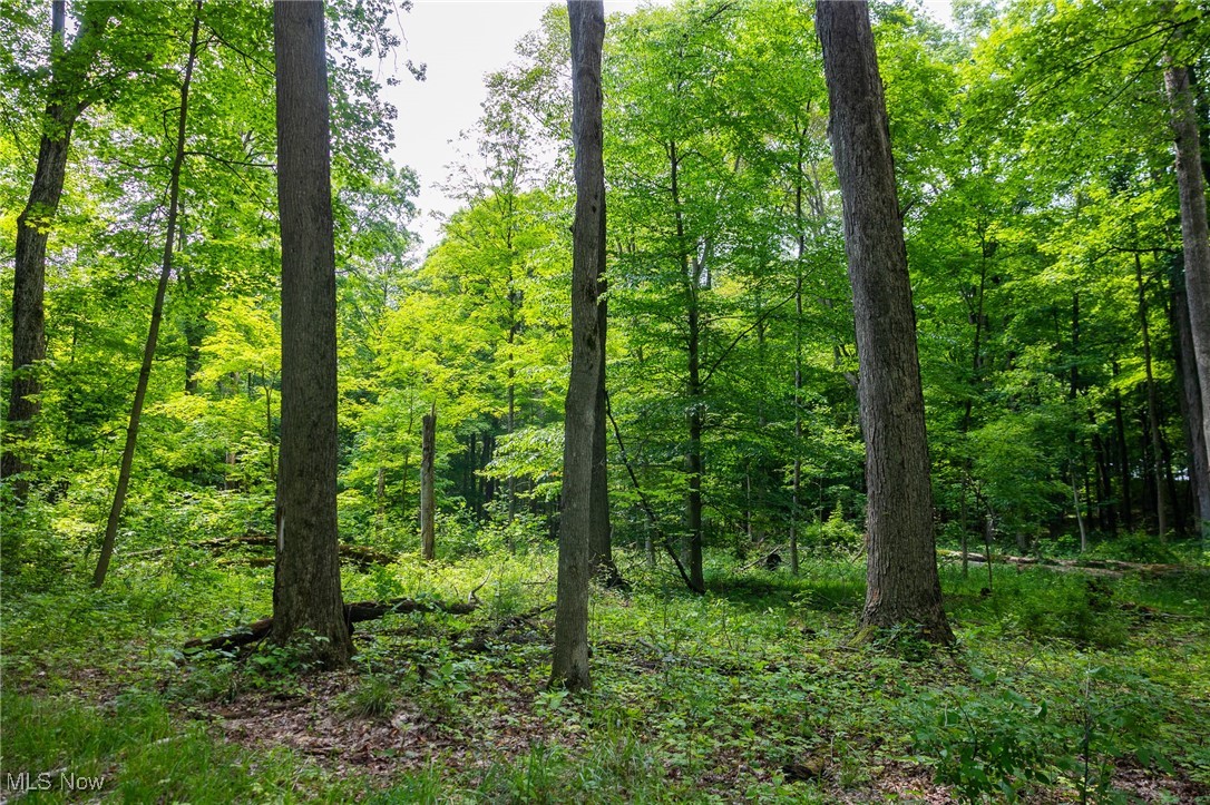 2270 Oh-511, Perrysville, Ohio image 22