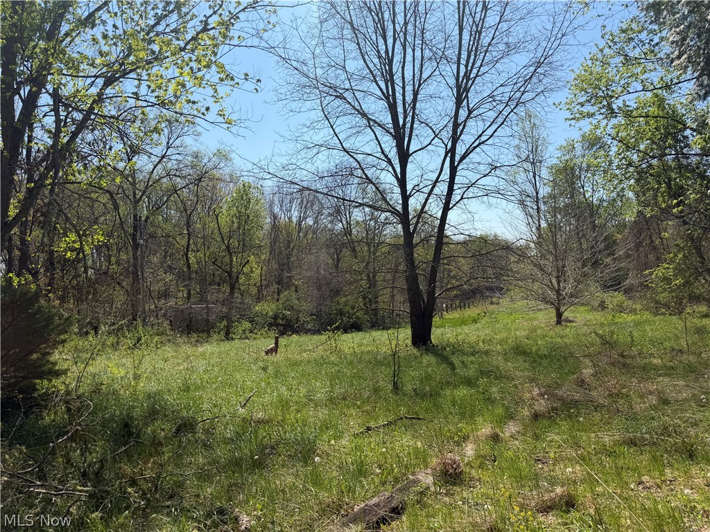 United States Military Lands - Land