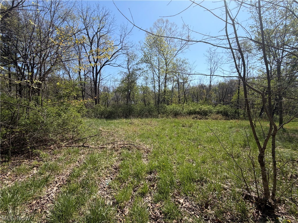 United States Military Lands - Land