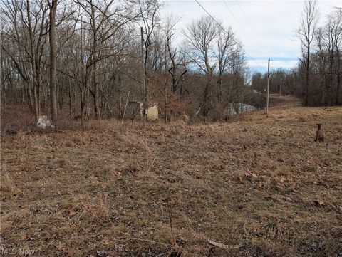 Tiny photo for 26774 Township Road 37, Coshocton, OH 43812 (MLS # 5190981)
