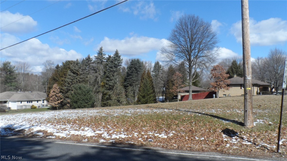 Ritzman Estates - Land