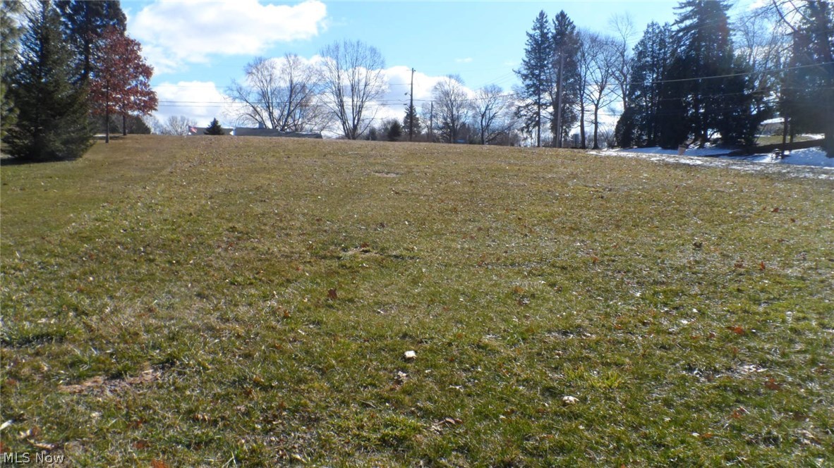 Ritzman Estates - Land