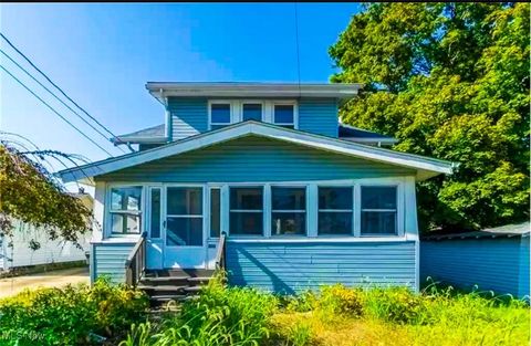 Homes For Sale - 810 Mohawk Avenue<br/> Akron, OH 44305