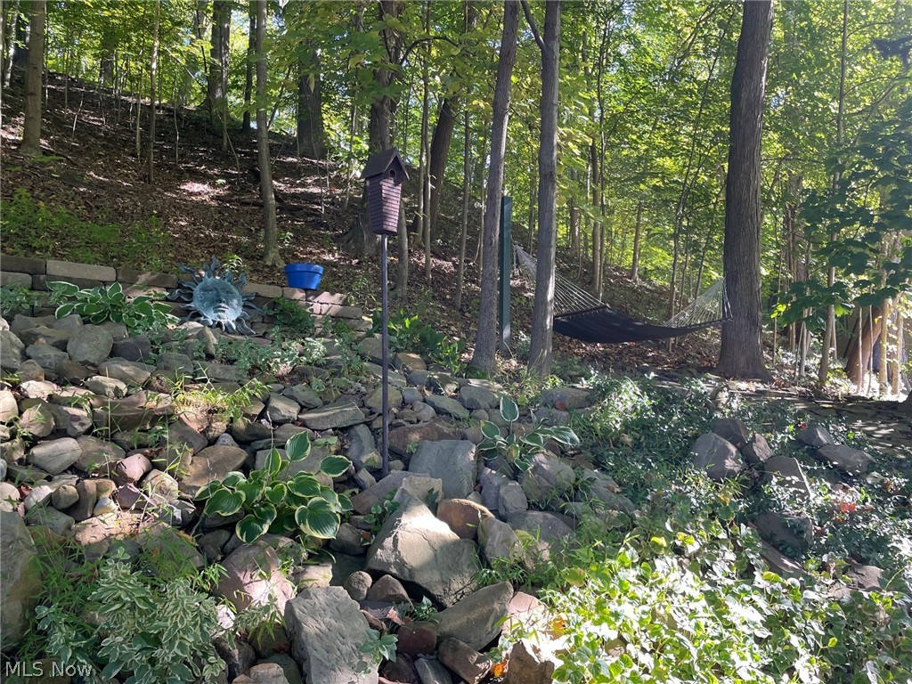 Cuyahoga River - Residential