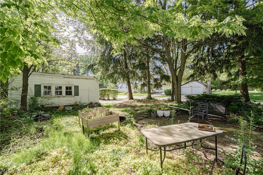 Transit Park & Allotment - Residential