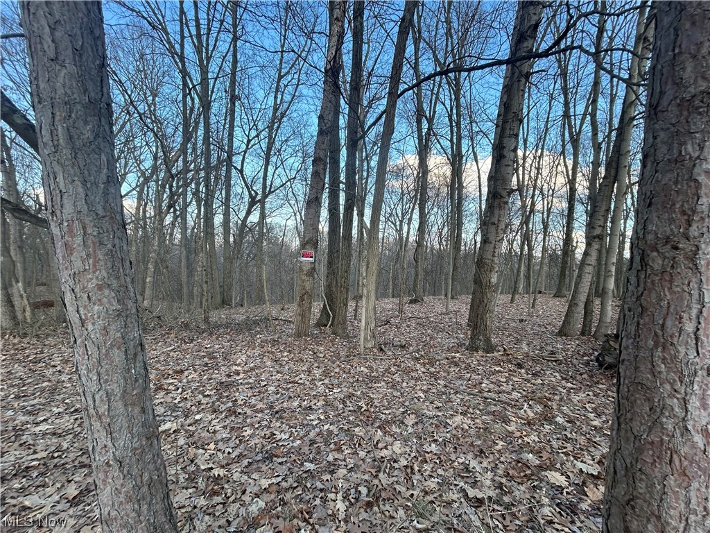 Mosss 1st Add - Land