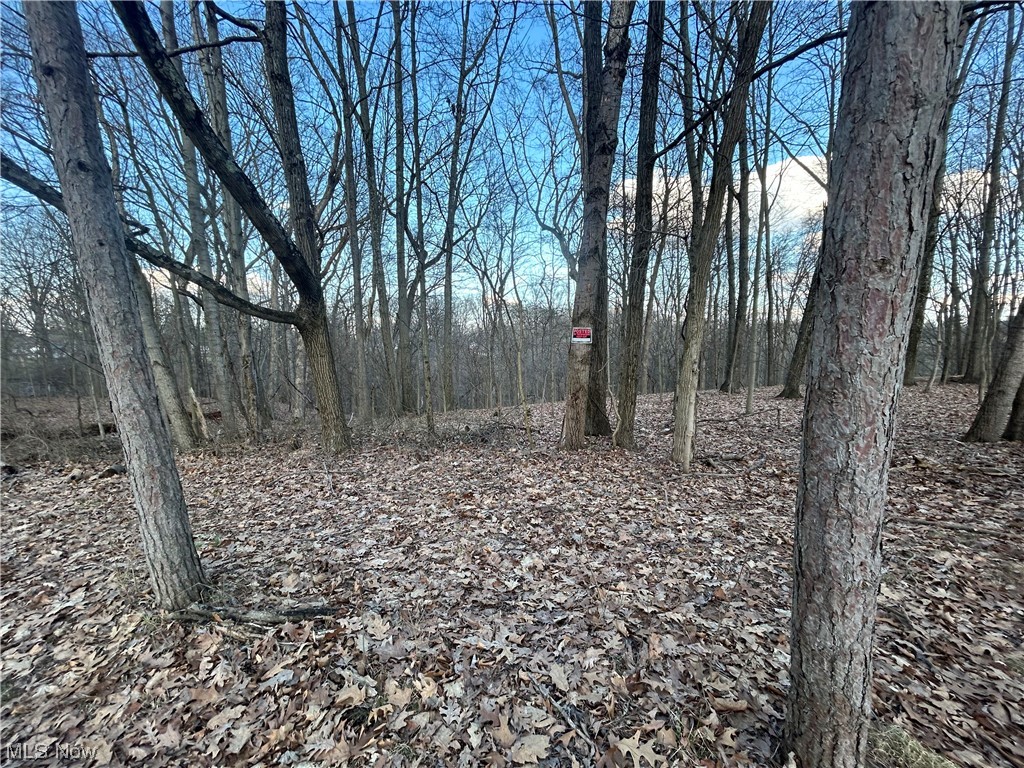 Mosss 1st Add - Land