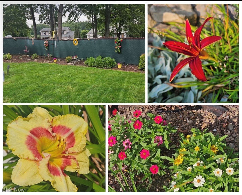 Highland Park - Residential