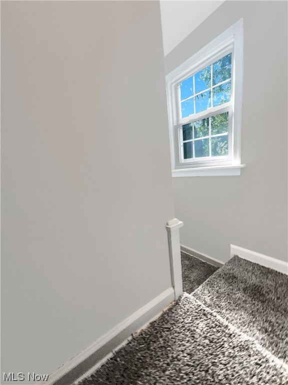 Brodbeck Park - Residential