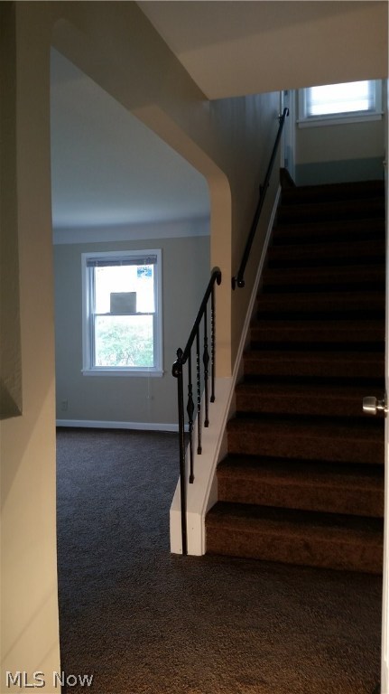 Maple Heights 02 - Residential