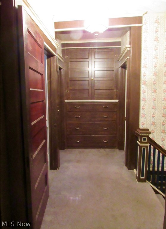 Storer Heights - Residential