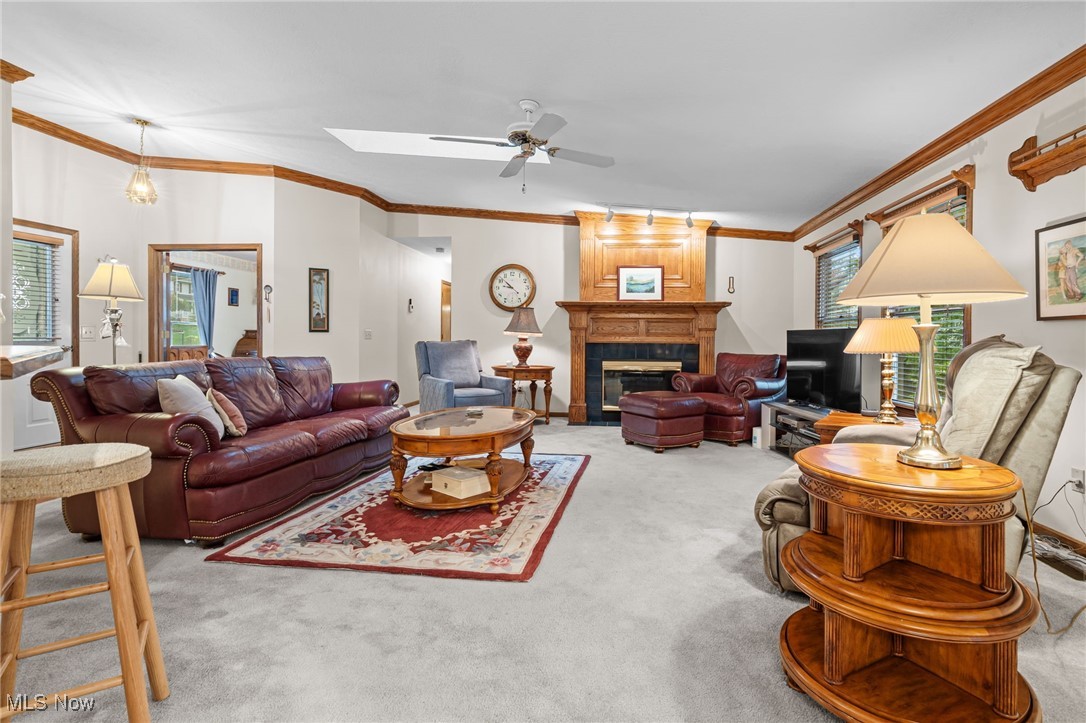 Freedom Woods #3 - Residential